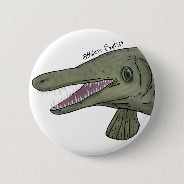 Alligator gar nål (Framsida)