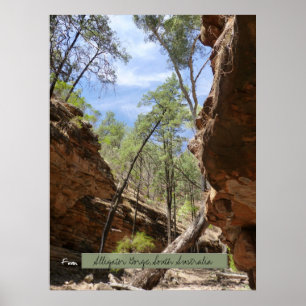 Alligator Gorge, södra Australien Poster