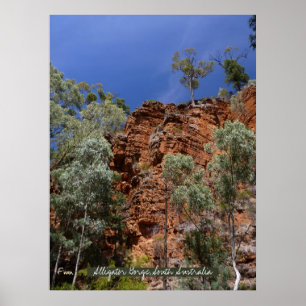 Alligator Gorge's red piling sten Poster