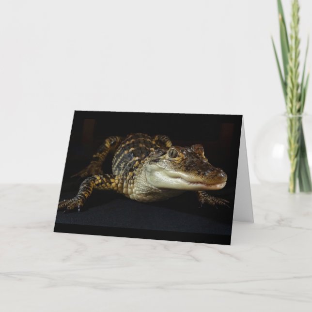 Alligator Greeting Card blank Inside Kort (Framsida)