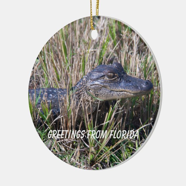 Alligator Hälsning från Florida Julgransprydnad Keramik (Vänster)