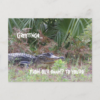 Alligator Hälsning vykort