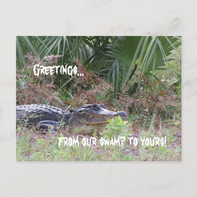 Alligator Hälsning vykort (Framsida)