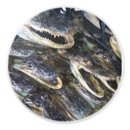 Alligator Head Knopp