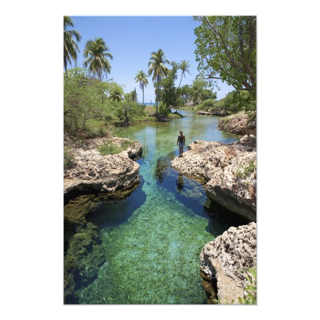 Alligator Hole, Black River Town, Jamaica Fototryck (Framsidan)