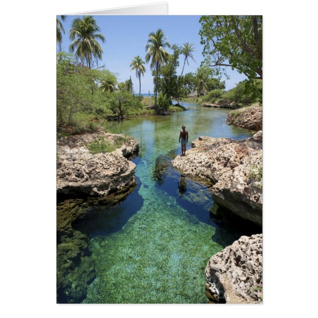 Alligator Hole, Black River Town, Jamaica Hälsningskort (Framsidan)