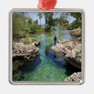 Alligator Hole, Black River Town, Jamaica Julgransprydnad Metall