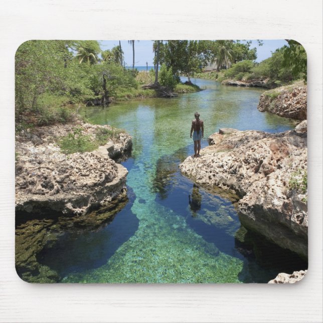 Alligator Hole, Black River Town, Jamaica Musmatta (Framsidan)