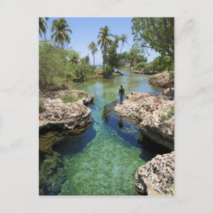 Alligator Hole, Black River Town, Jamaica Vykort