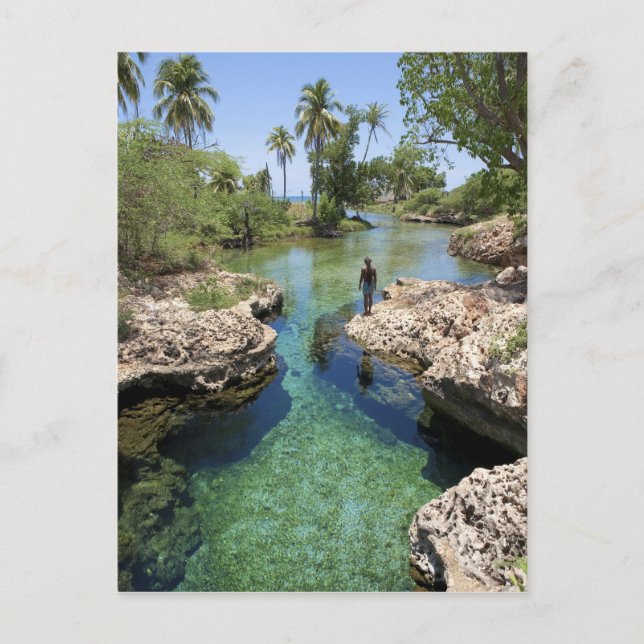 Alligator Hole, Black River Town, Jamaica Vykort (Framsida)