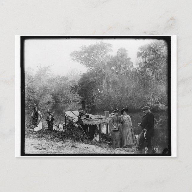 Alligator Hunting, Tomoka River, Florida 1880-1897 Vykort (Framsida)