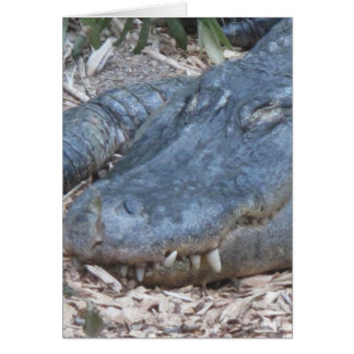 Alligator in the Natural Habitat Hälsningskort