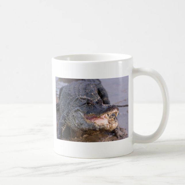 Alligator Kaffemugg (Höger)