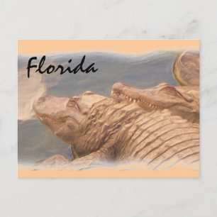 Alligator kärlek Florida-vykort Vykort