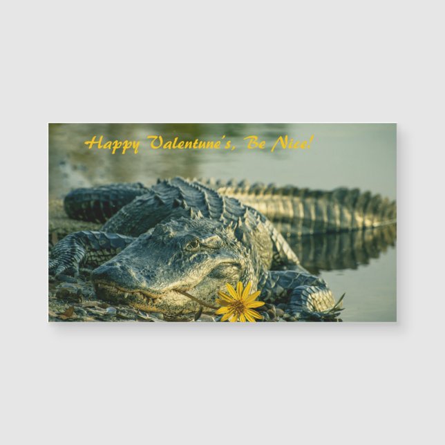 Alligator med blomstermagnetkort för Valentineser (Framsida)