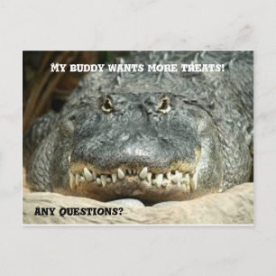 Alligator More Trets vycard Vykort