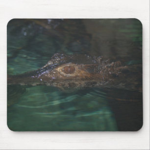 Alligator Mousepad Musmatta