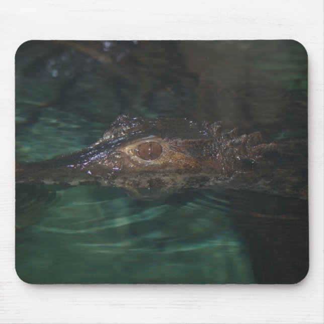 Alligator Mousepad Musmatta (Framsidan)