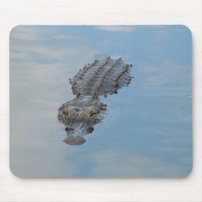 alligator musmatta (Framsidan)