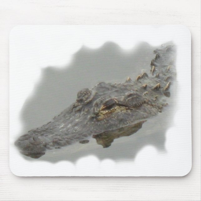 alligator musmatta (Framsidan)