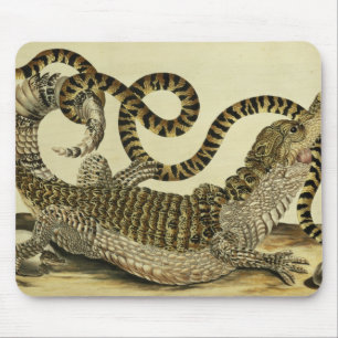 Alligator och orm, 1730 (färgad gravyr) musmatta