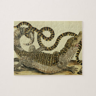 Alligator och orm, 1730 (färgad gravyr) pussel
