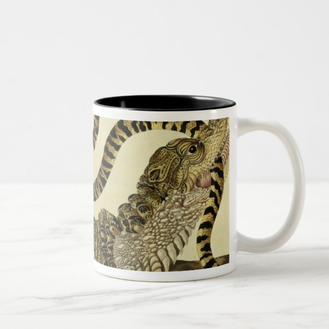 Alligator och orm, 1730 (färgad gravyr) Två-Tonad mugg (Höger)