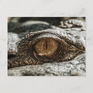 ALLIGATOR ÖGA STÄNGNING VYKORT