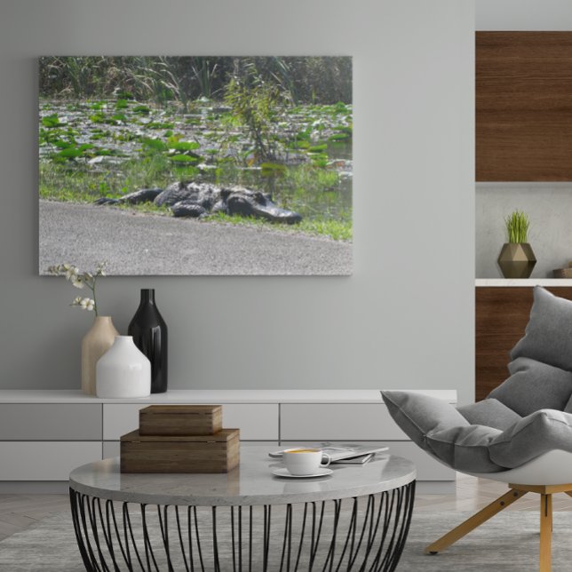 Alligator på Alligator Alley, Fl Poster (Skapare uppladdad)