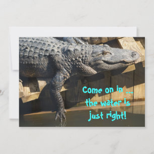 Alligator på dockan inbjudningar