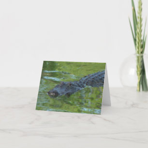 Alligator Photo-mappat anteckningskort