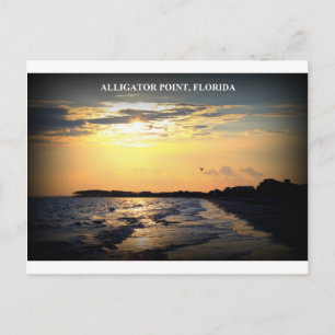 ALLIGATOR POINT, FLORIDA VYKORT