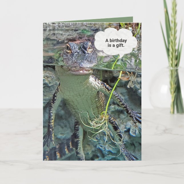 alligator, pond vatten födelsedag humor kort (Framsida)