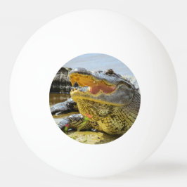 Alligator porträtt pingisboll
