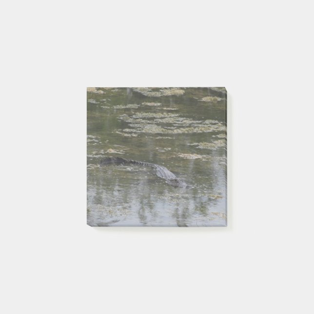 Alligator Post it Notes Post-it Block (Framsida)