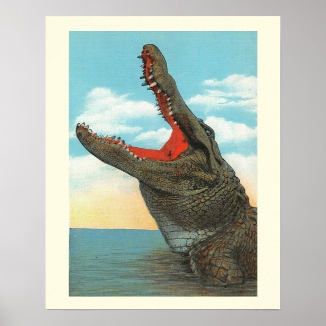 Alligator Poster (Framsidan)