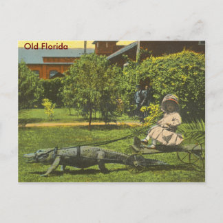 ALLIGATOR POWER, Old Florida Vykort