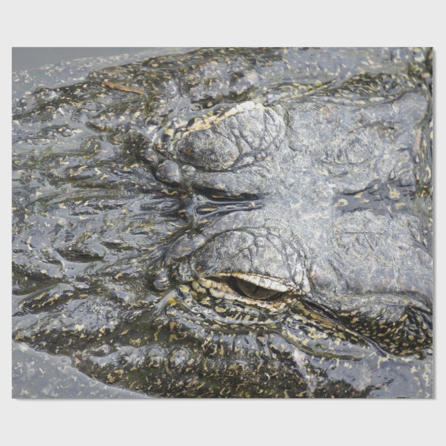 Alligator Presentpapper (Platt)
