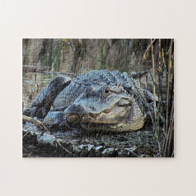Alligator Puzzle Pussel (Horisontell)