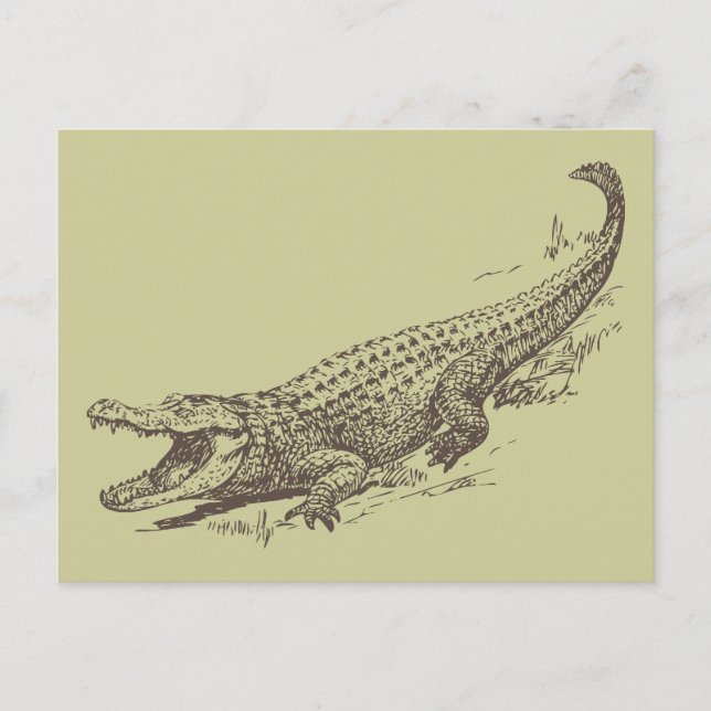 Alligator Realistic Illustration Vykort (Framsida)