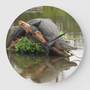 Alligator - Reflektioner av tid - Vägglås Stor Klocka
