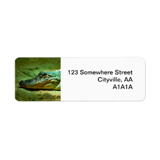 Alligator Returadress Etikett