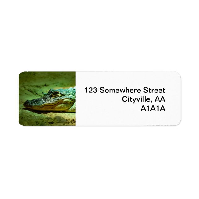 Alligator Returadress Etikett (Framsidan)