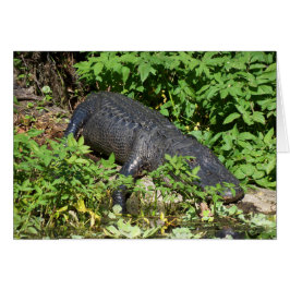 Alligator Silver Hälsningskort