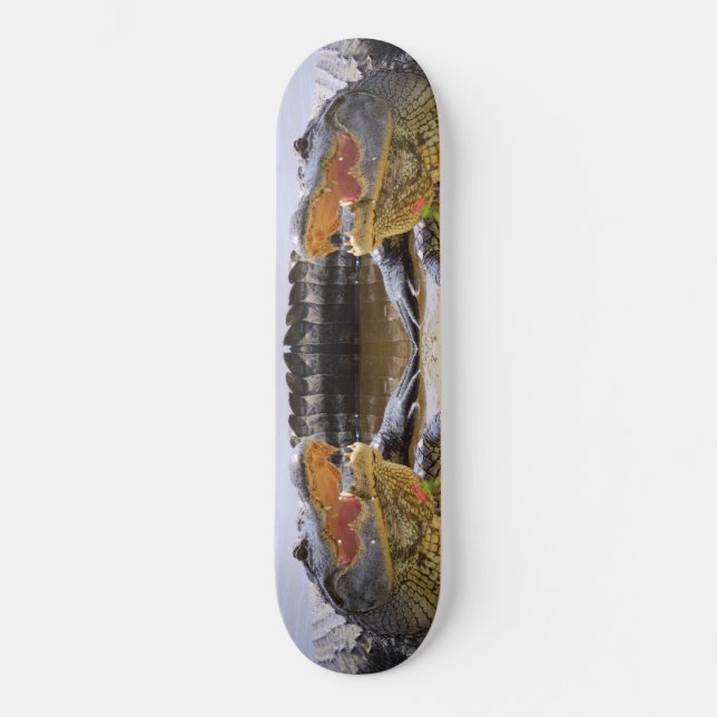 Alligator Skateboard Bräda 20,5 Cm (Framsida)