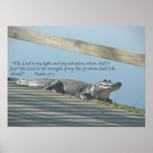 Alligator-skript Poster