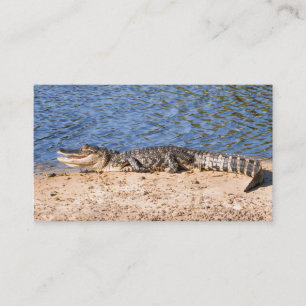 Alligator som sunning på sjön visitkort