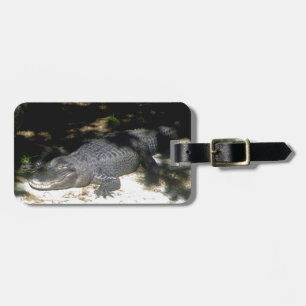 Alligator Sunbad Bagagebricka