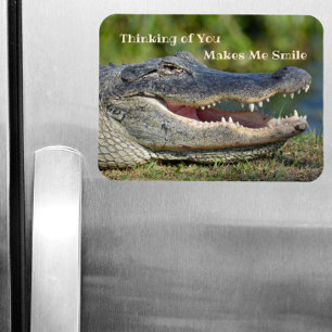 Alligator tänker att du får mig att dra magnet