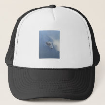 Alligator Trucker Keps